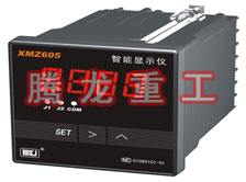 溫度表、數(shù)字顯示儀、濕度表