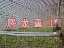 大棚花卉供暖設(shè)備、大棚卉采暖設(shè)備、大棚花卉取暖設(shè)備