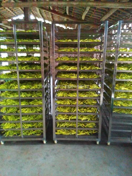 黃花菜烘干機(jī)、黃花菜烘干設(shè)備、黃花菜干燥機(jī)、黃花菜干燥設(shè)備、